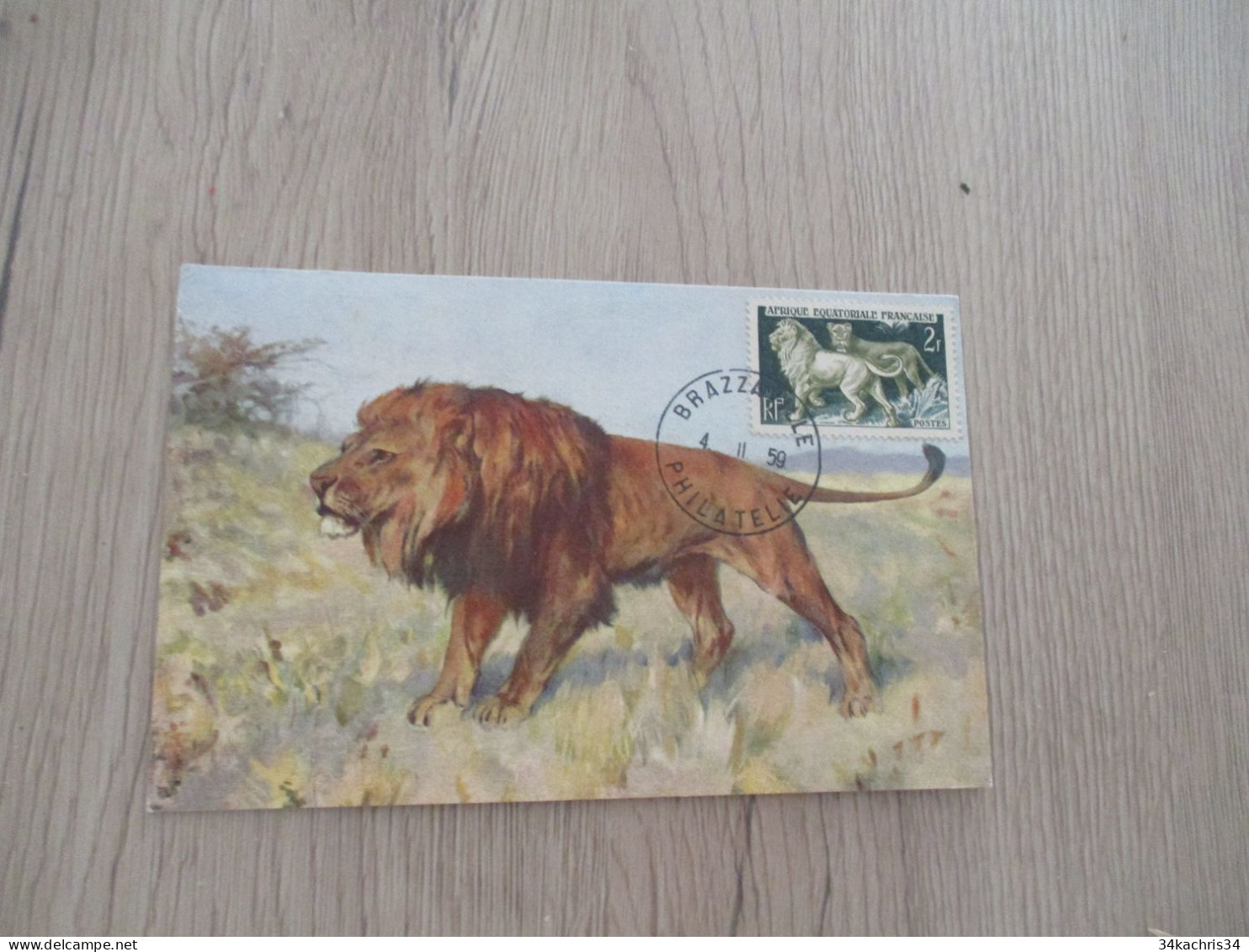 Ga Carte Maximum A.E.F. Afrique équatoriale Française Lion 1959 - Briefe U. Dokumente