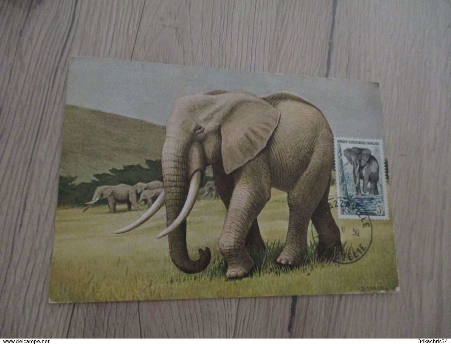 Ga Carte Maximum A.E.F. Afrique équatoriale Française éléphant  1959 - Briefe U. Dokumente