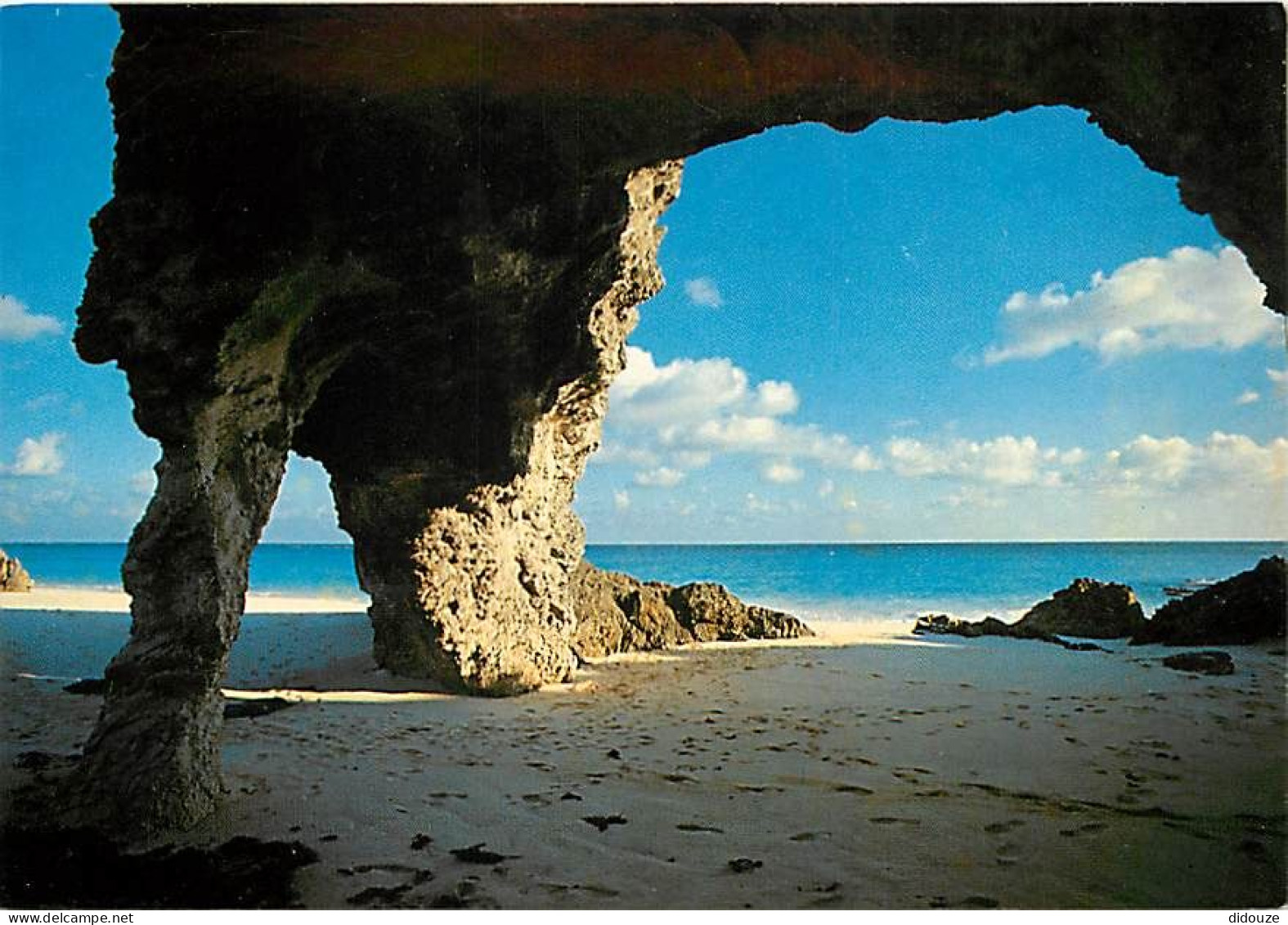 Antilles - Bermudes - Bermuda - Natural Arches - TuckersTown - CPM - Voir Scans Recto-Verso - Bermudes