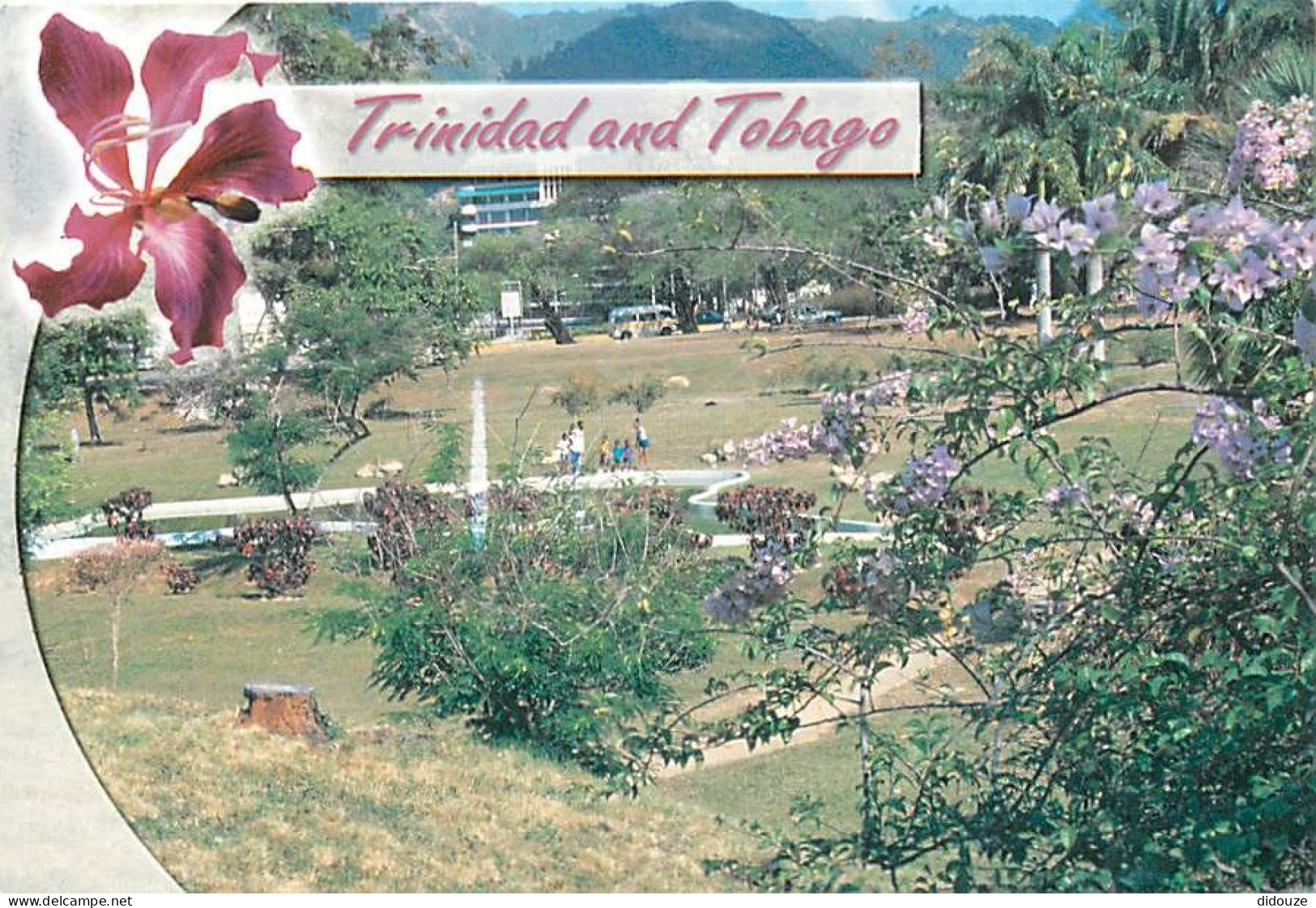 Antilles - Trinidad And Tobago - The Hollows - Queens Park - Savannah Port Of Spain - Fleurs - CPM - Voir Scans Recto-Ve - Trinidad