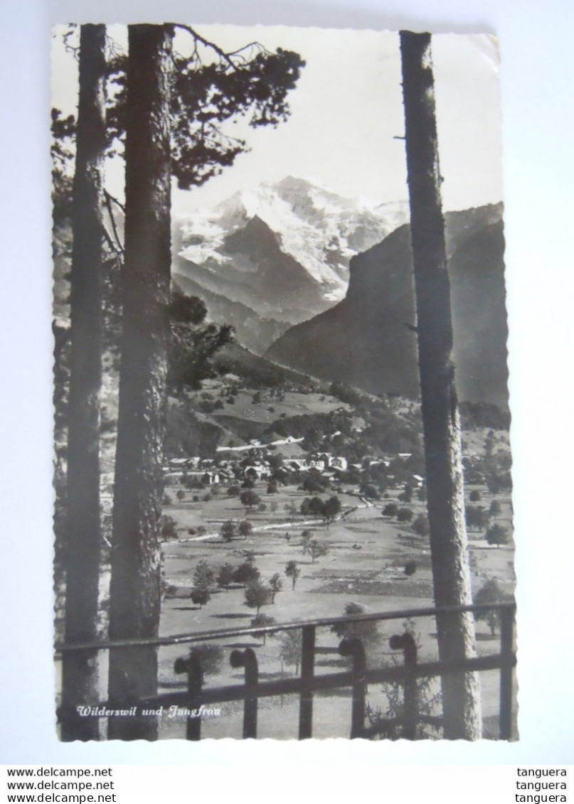 Suisse Wilderswil Und Jungfrau Circulée 1948 - Wilderswil