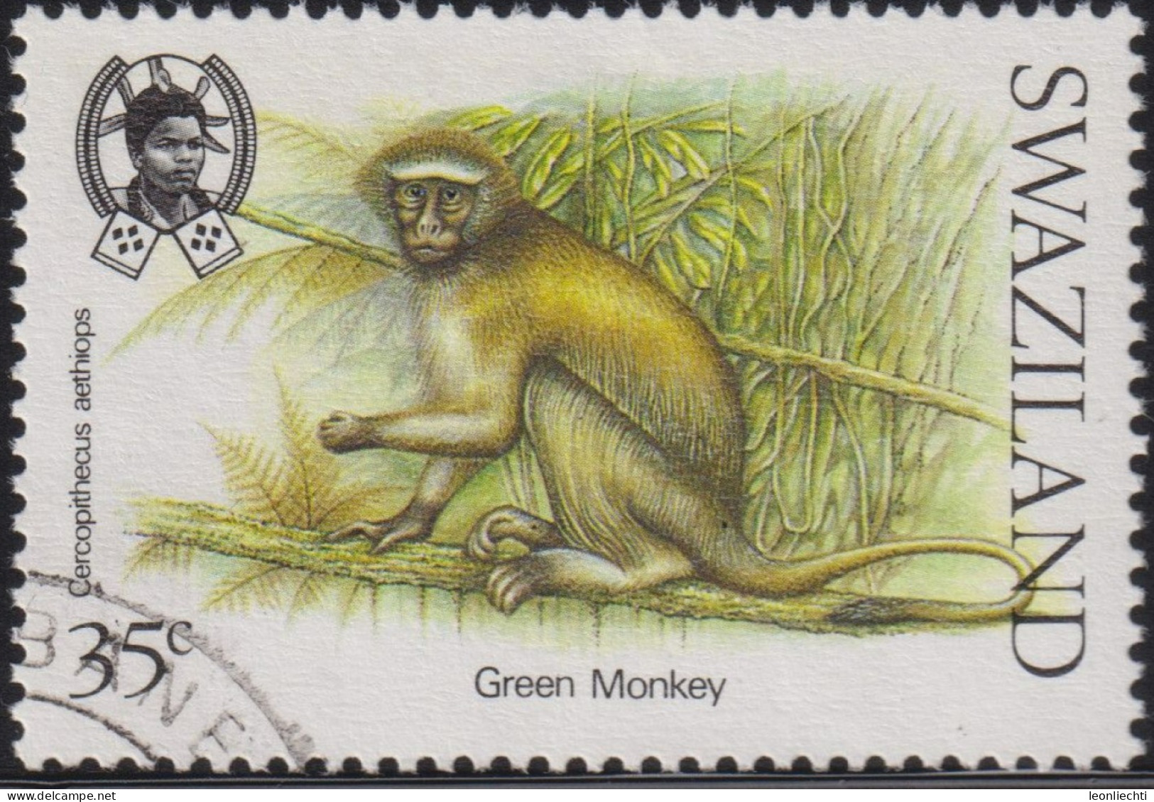 1989 Eswatini/Swaziland° Mi:SZ 548, Sn:SZ 539, Yt:SZ 545, Sg:SZ 549, Green Monkey (Cercopithecus Aethiops) - Swaziland (1968-...)