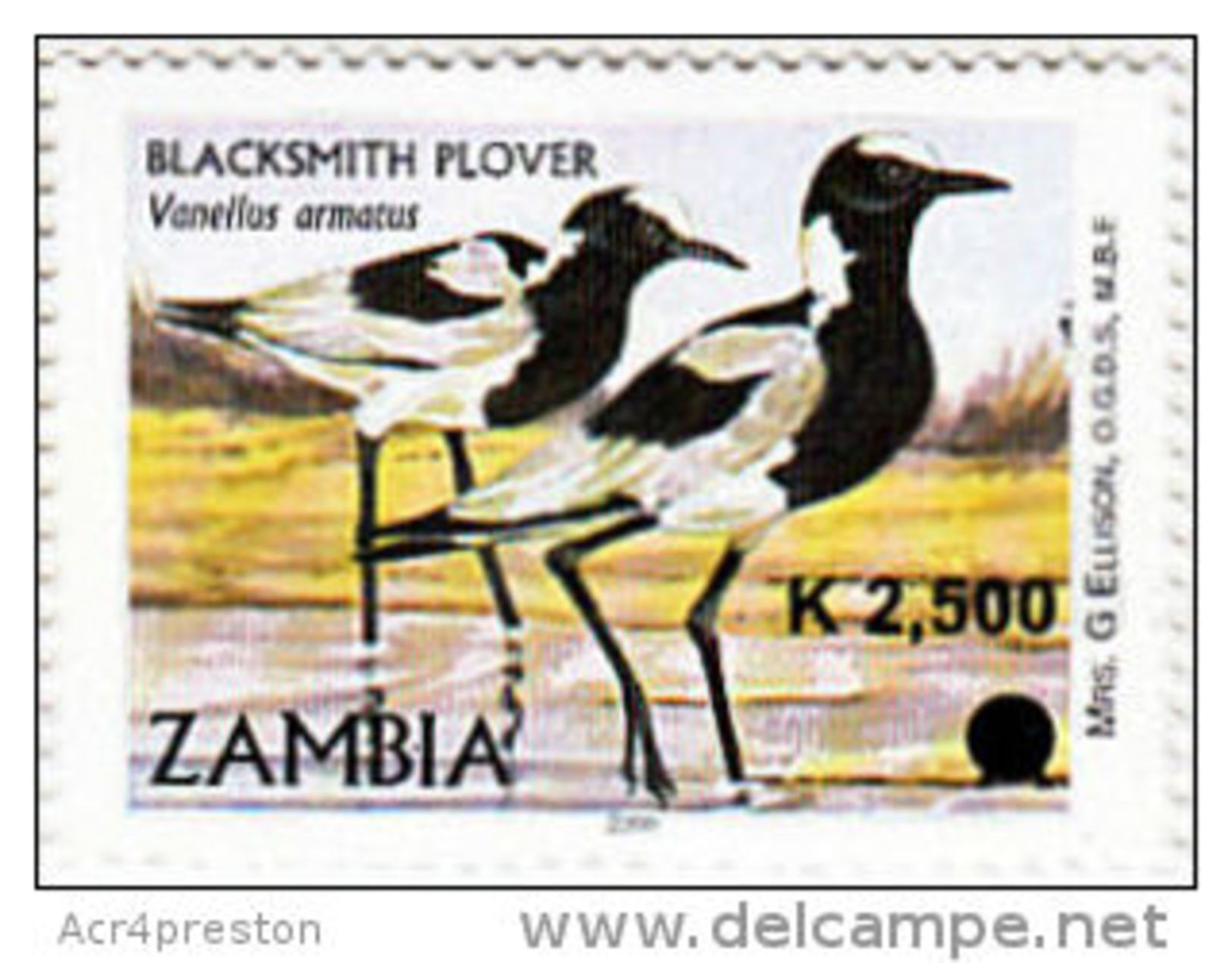 Zm1063 Zambia 2011, SG 1063 K2,500 Surcharge On 'A' Aquatic Birds - Zambie (1965-...)