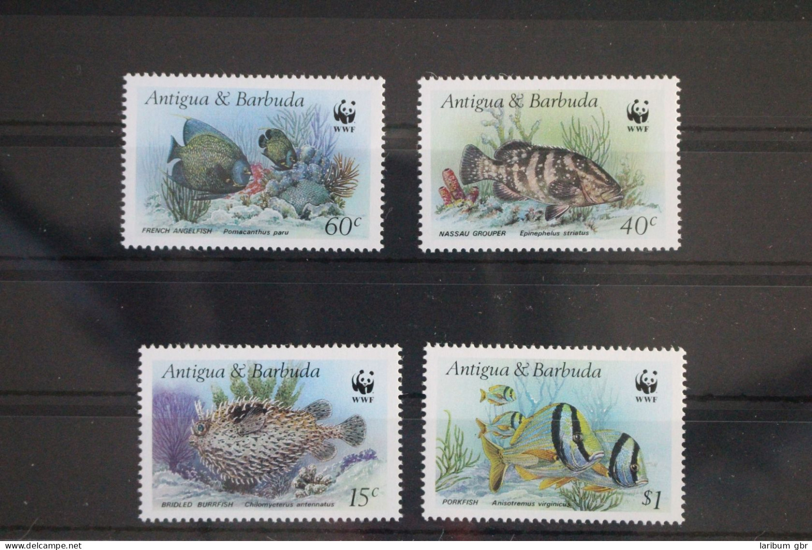 Antigua Und Barbuda 1010-1013 Postfrisch Tiere Fische #WX311 - Antigua And Barbuda (1981-...)
