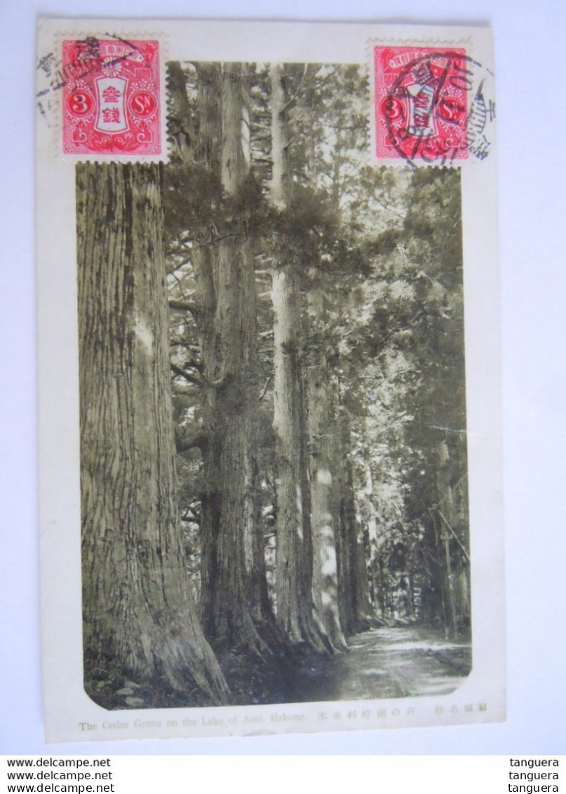 The Cedar Grove On The Lake Of Ashi, Hakone Used 1935 Timbre Yv 247 - Other & Unclassified