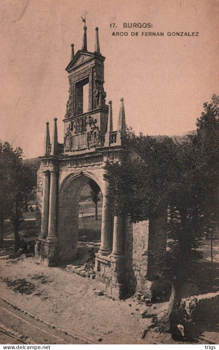 Burgos - Arco De Fernan Gonzalez - Burgos