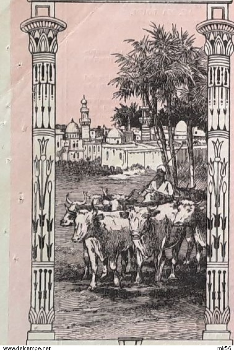 The Land Bank Of Egypt - 25 Ordinary Shares - 1905 - Alexandrie - Deco !! - Banque & Assurance