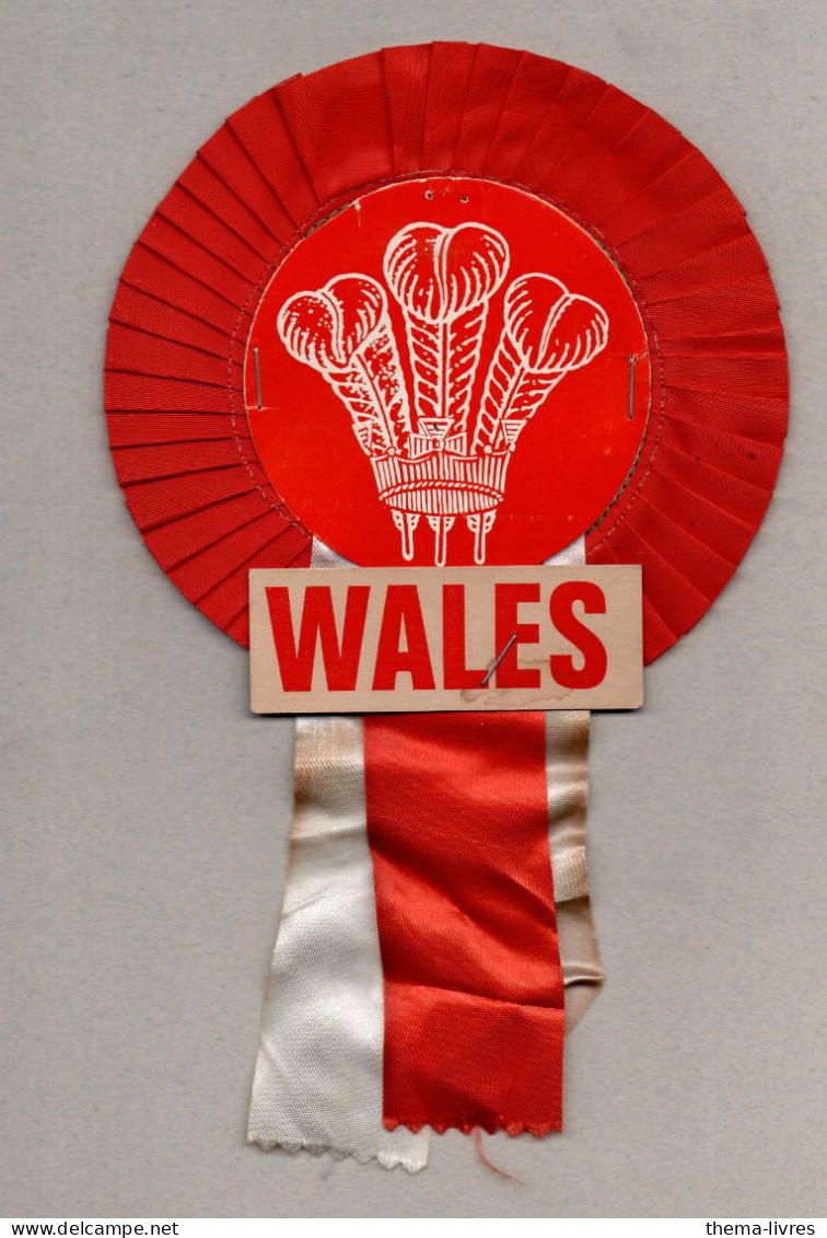 Calicot (?)  WALES  (PPP46824) - Rugby