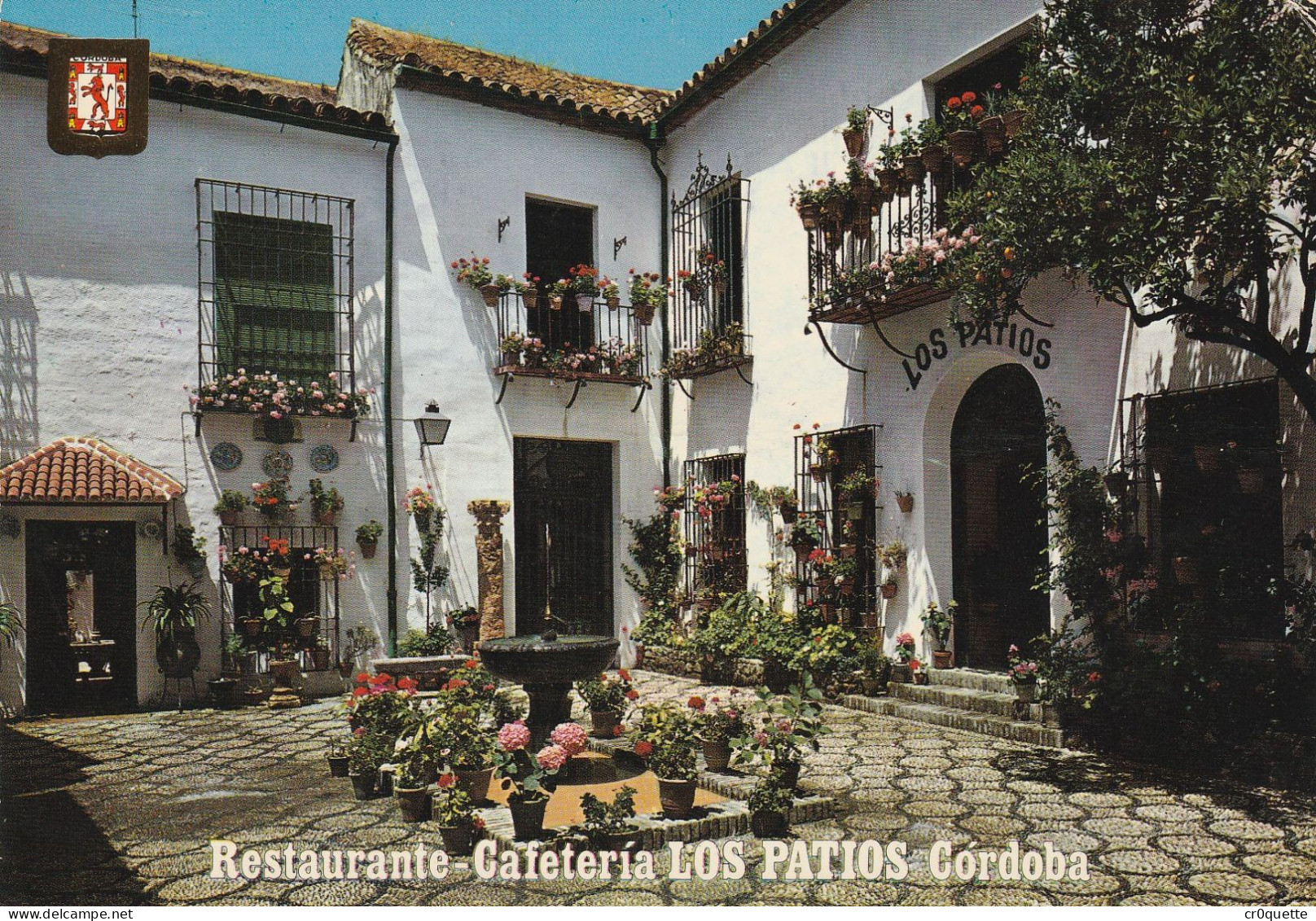 # ESPAGNE - CORDOBA  - CORDOUE / LOS PATIOS (RESTAURANT) Et MEZQUITA (lot De 3 CP) - Córdoba