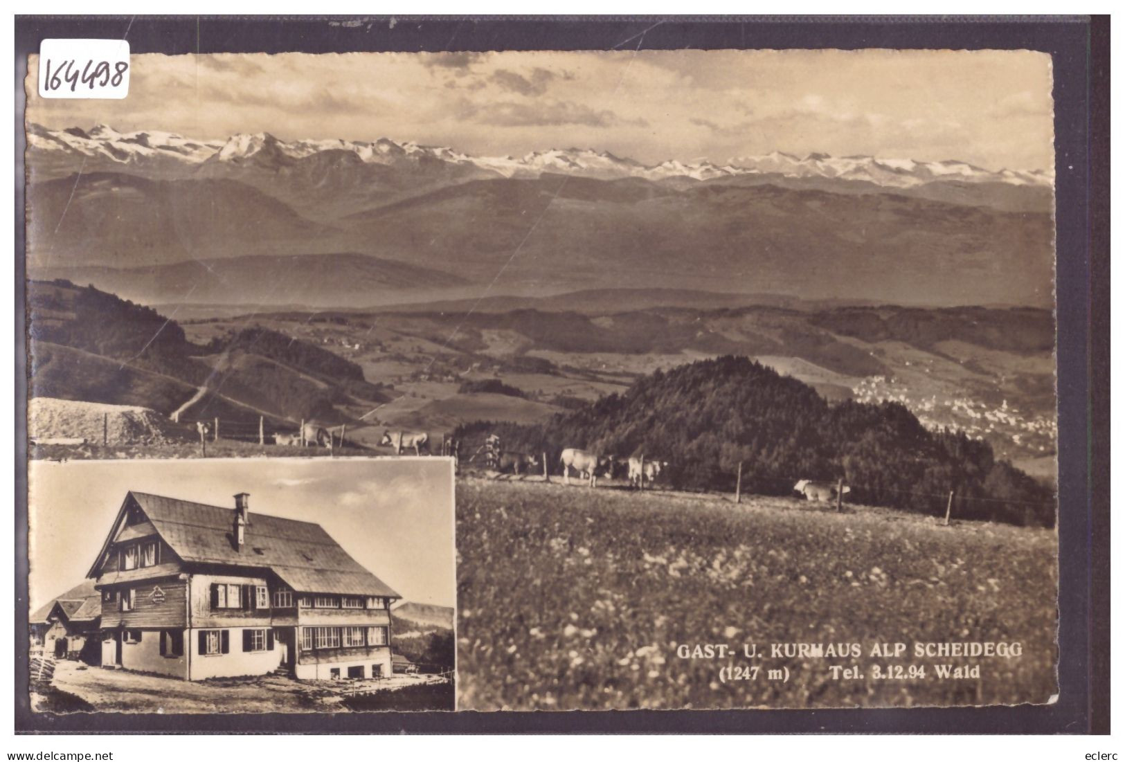 WALD - KURHAUS ALP SCHEIDEGG - TB - Wald