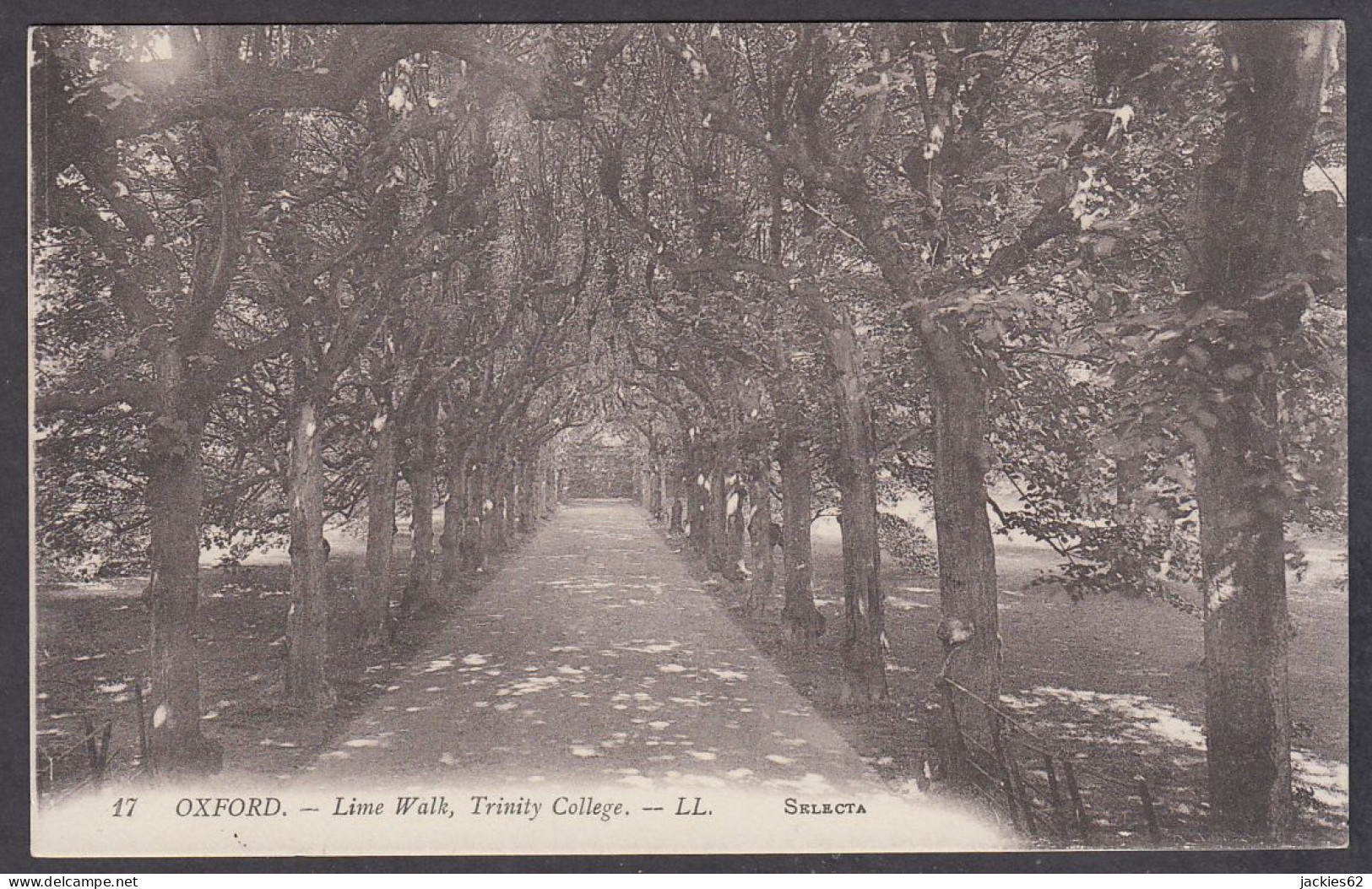 111111/ OXFORD, Trinity College, Lime Walk - Oxford