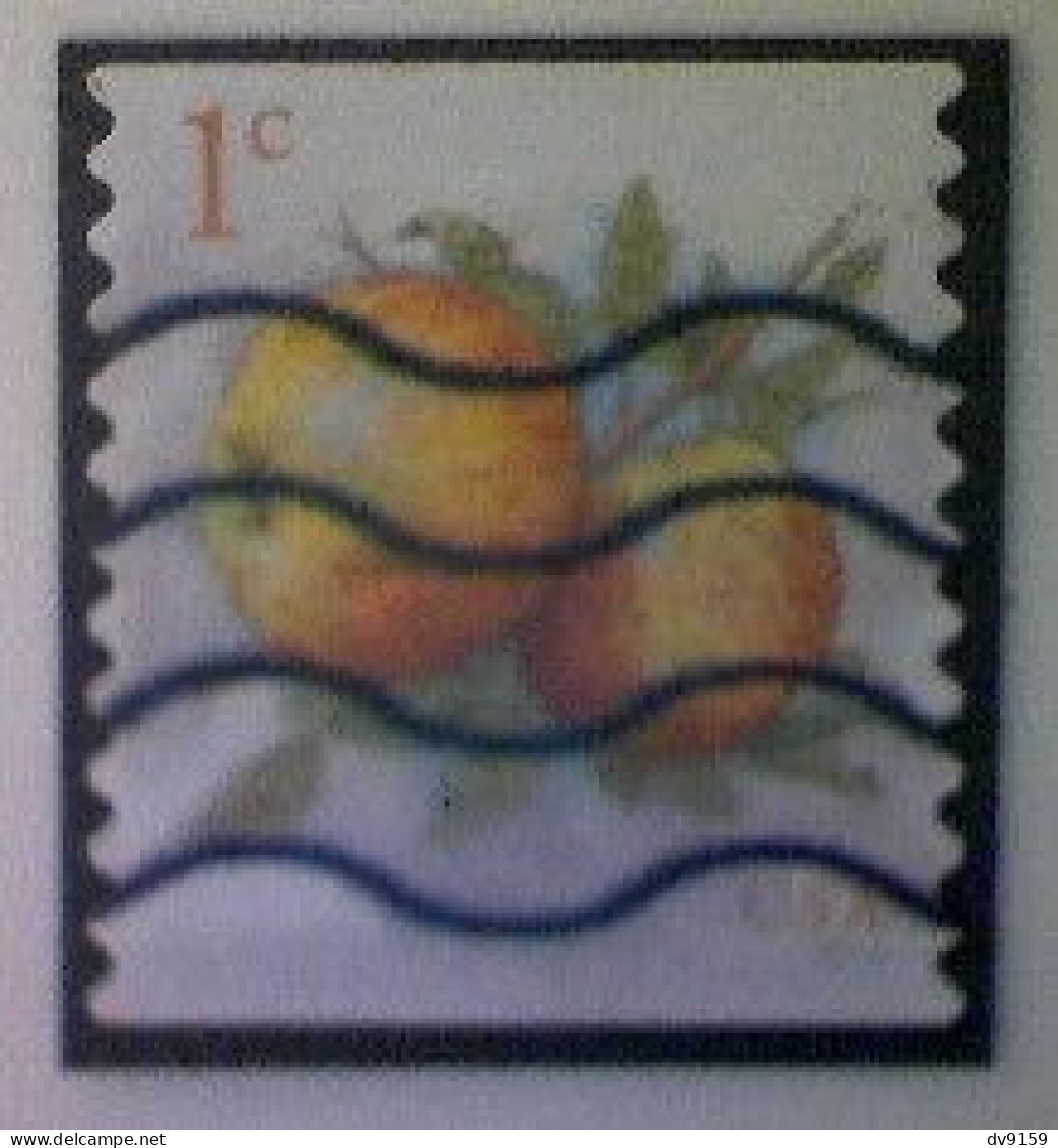 United States, Scott #5037, Used(o), 2016 Definitive, Albemarle Pippin Apple, 1¢, Multicolored - Gebraucht