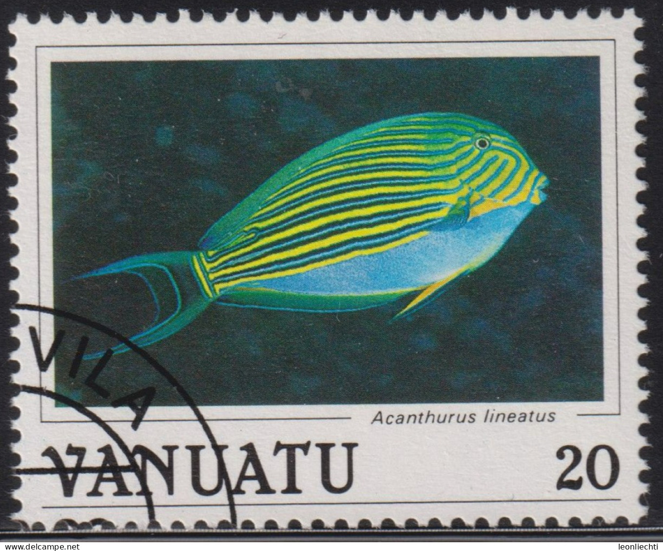 1987 Vanuatu ° Mi:VU 758, Sn:VU 446, Yt:VU 773, Sg:VU 468, Blue Banded Surgeonfish (Acanthurus Lineatus), Fisch - Vanuatu (1980-...)