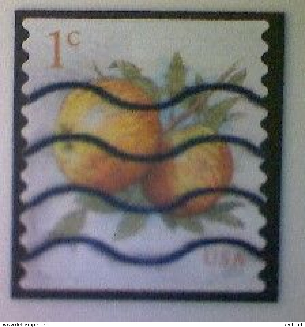 United States, Scott #5037, Used(o), 2016 Definitive, Albemarle Pippin Apple, 1¢, Multicolored - Gebruikt