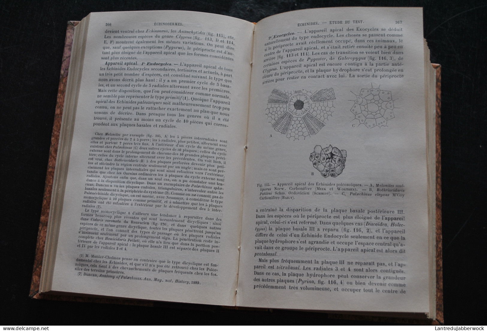 Félix BERNARD Eléments de paléontologie Librairie Baillière et Fils 1895 - 606 figures Archéologie Fossiles Préhistoire 