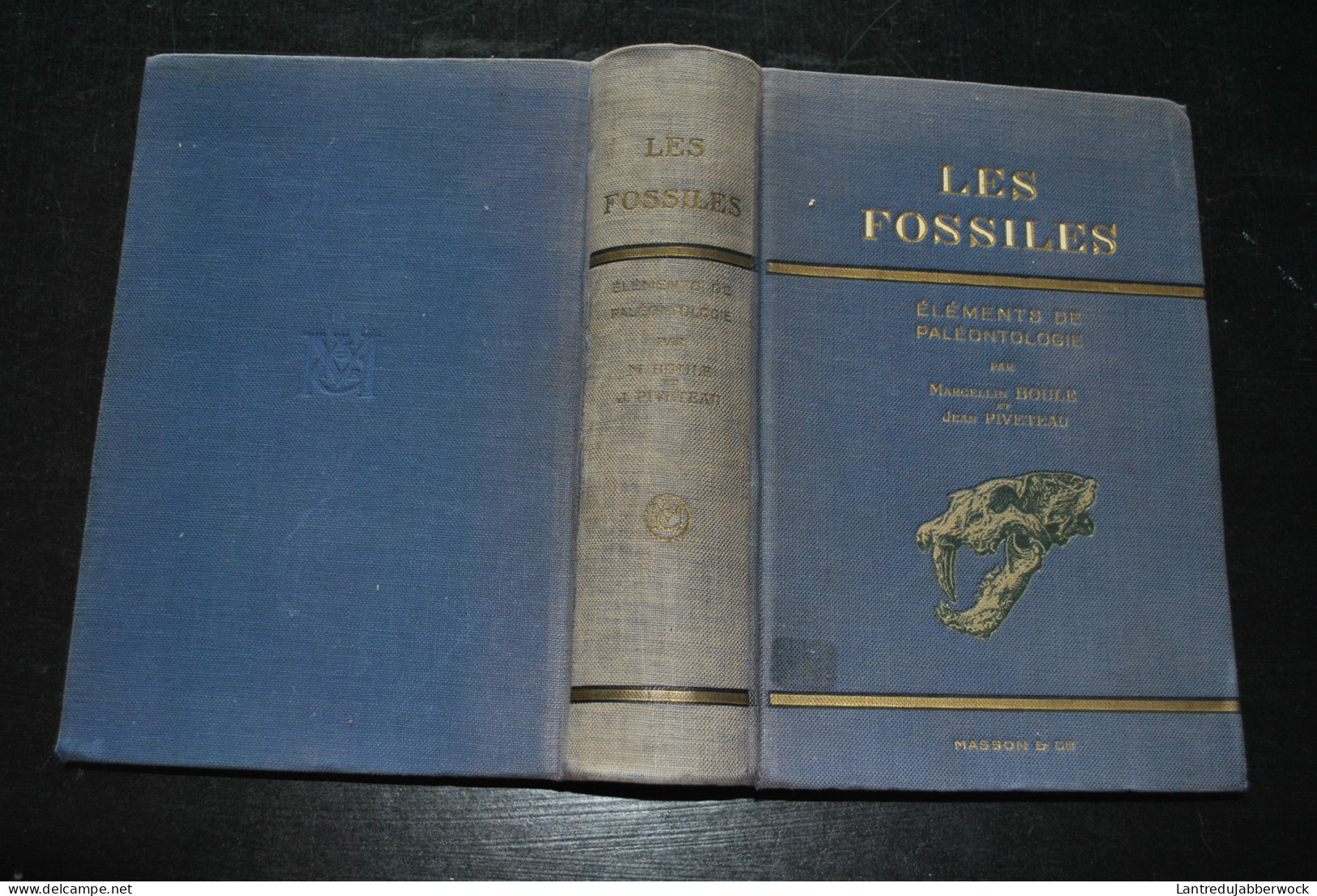 BOULE PIVETEAU Les Fossiles Eléments De Paléontologie MASSON & Cie 1935 1330 Figures Archéologie Préhistoire  - Archeology