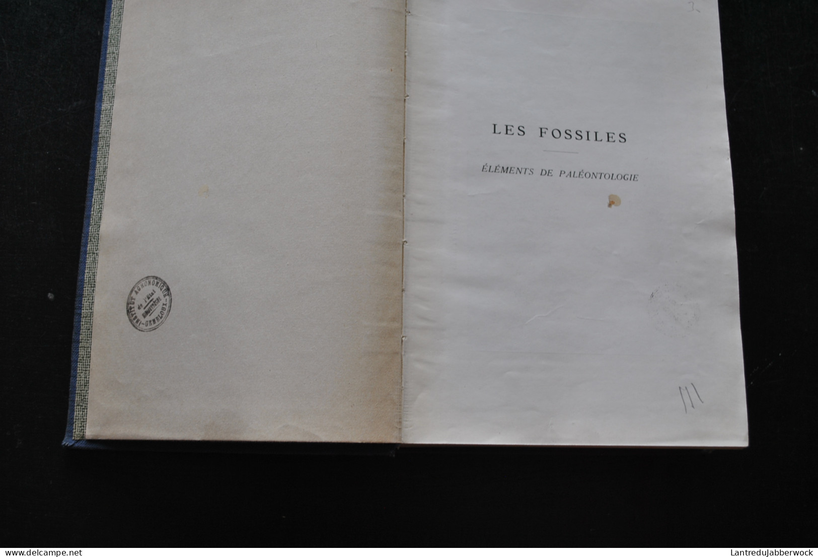 BOULE PIVETEAU Les Fossiles Eléments De Paléontologie MASSON & Cie 1935 1330 Figures Archéologie Préhistoire  - Archeology