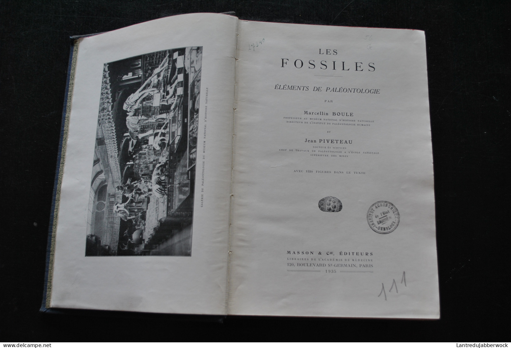 BOULE PIVETEAU Les Fossiles Eléments De Paléontologie MASSON & Cie 1935 1330 Figures Archéologie Préhistoire  - Archeologie