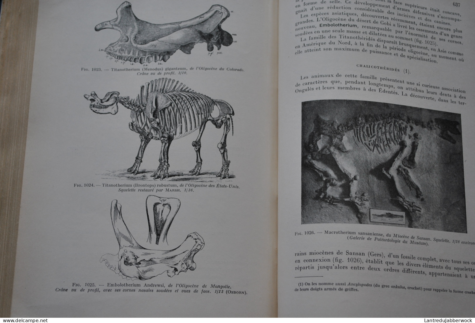 BOULE PIVETEAU Les fossiles Eléments de paléontologie MASSON & Cie 1935 1330 figures Archéologie Préhistoire 