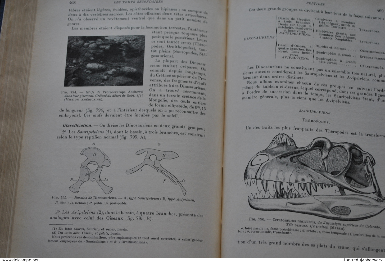 BOULE PIVETEAU Les fossiles Eléments de paléontologie MASSON & Cie 1935 1330 figures Archéologie Préhistoire 