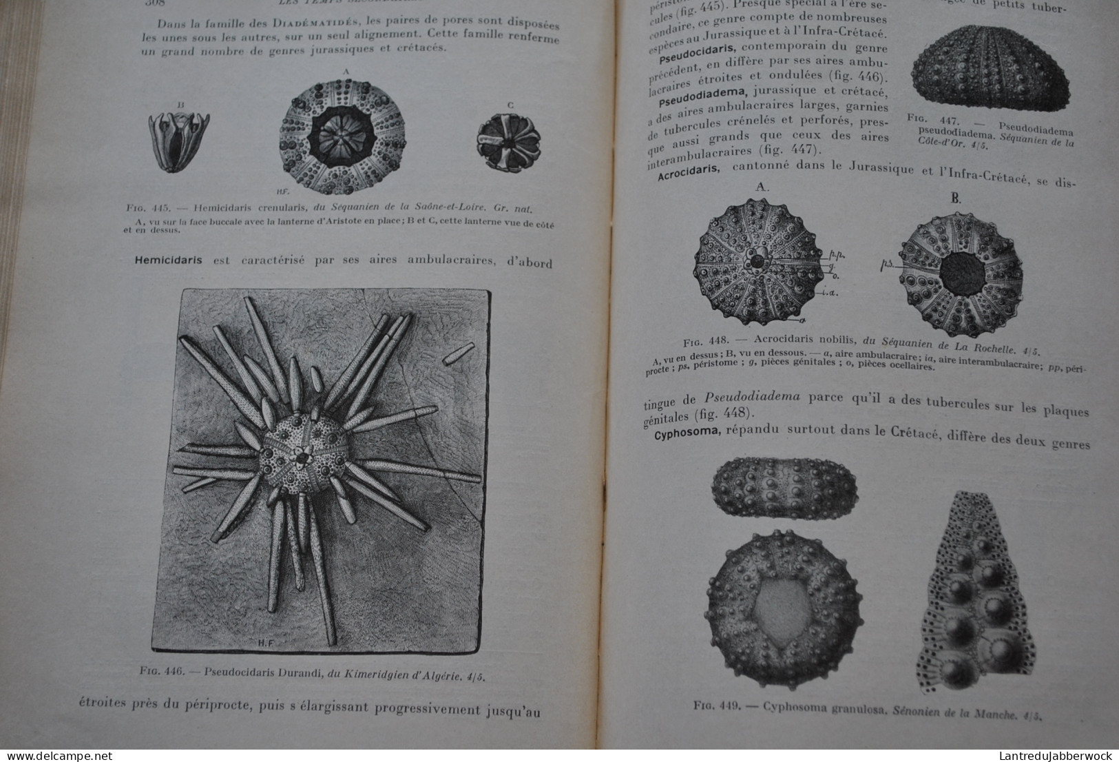 BOULE PIVETEAU Les fossiles Eléments de paléontologie MASSON & Cie 1935 1330 figures Archéologie Préhistoire 