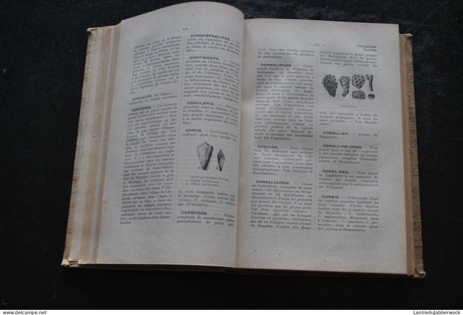 Stanislas MEUNIER Dictionnaire De Géologie Dunod 1935 Fossiles Archéologie Paléontologie Préhistoire  - Archéologie