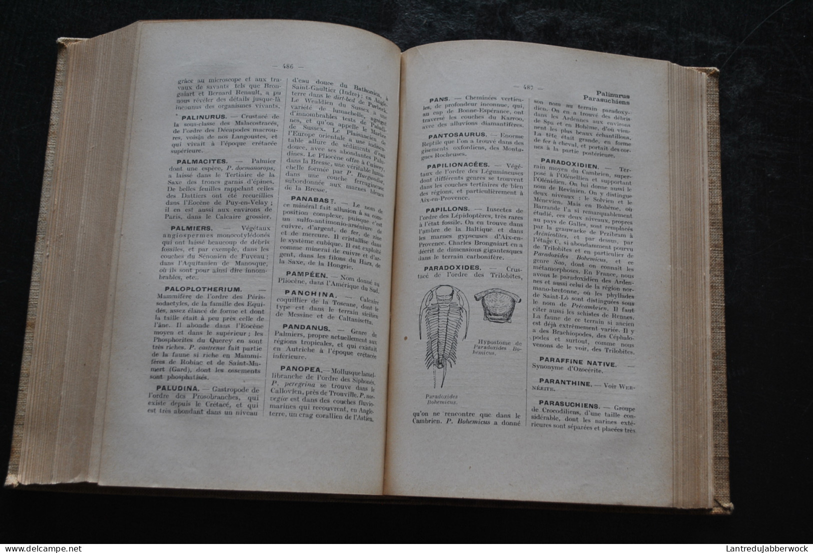 Stanislas MEUNIER Dictionnaire de géologie Dunod 1935 Fossiles Archéologie paléontologie Préhistoire 