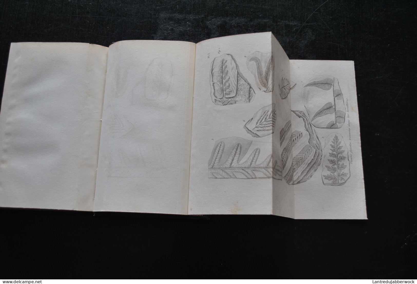 CUVIER Discours sur les révolutions du globe avec notes Firmin Didot 1850 Gravures squelettes Humboldt Flourens Lyell