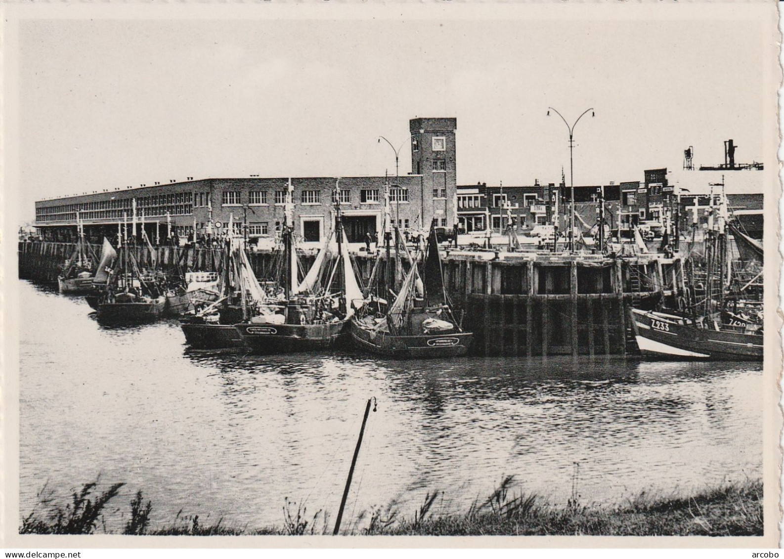 Zeebrugge  De Vismijn - La Minque - Zeebrugge