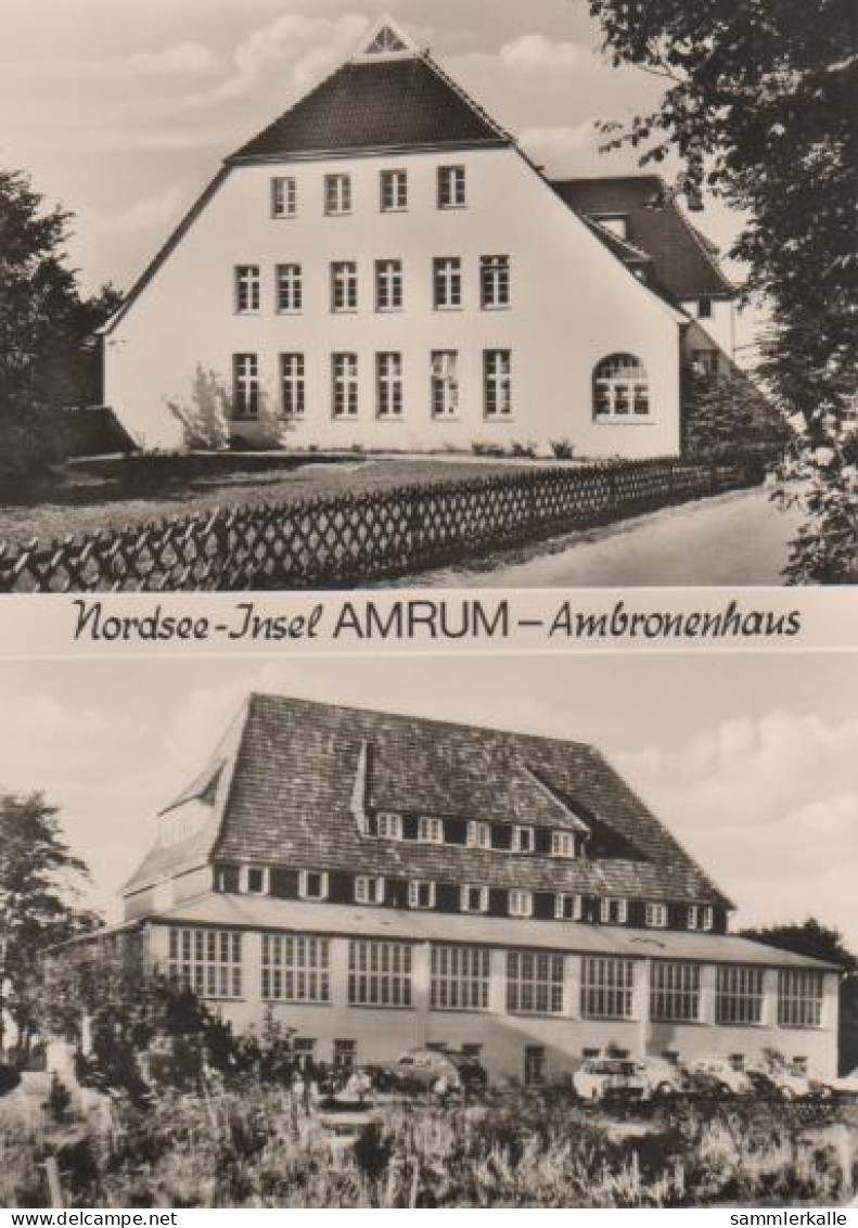 19833 - Amrum - Ambronenhaus - Ca. 1965 - Föhr