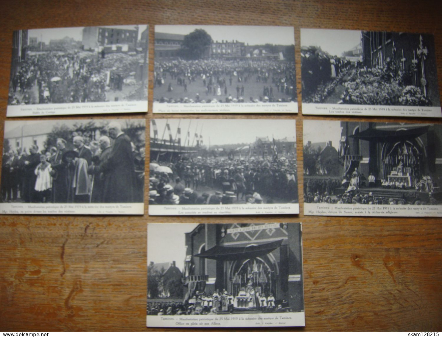 Lot De 16 Cartes De TAMINES ( Sambreville ) Manifestation Patriotique Du 25 Mai 1919 à La Mémoire Des Martyrs De Tamines - Sambreville