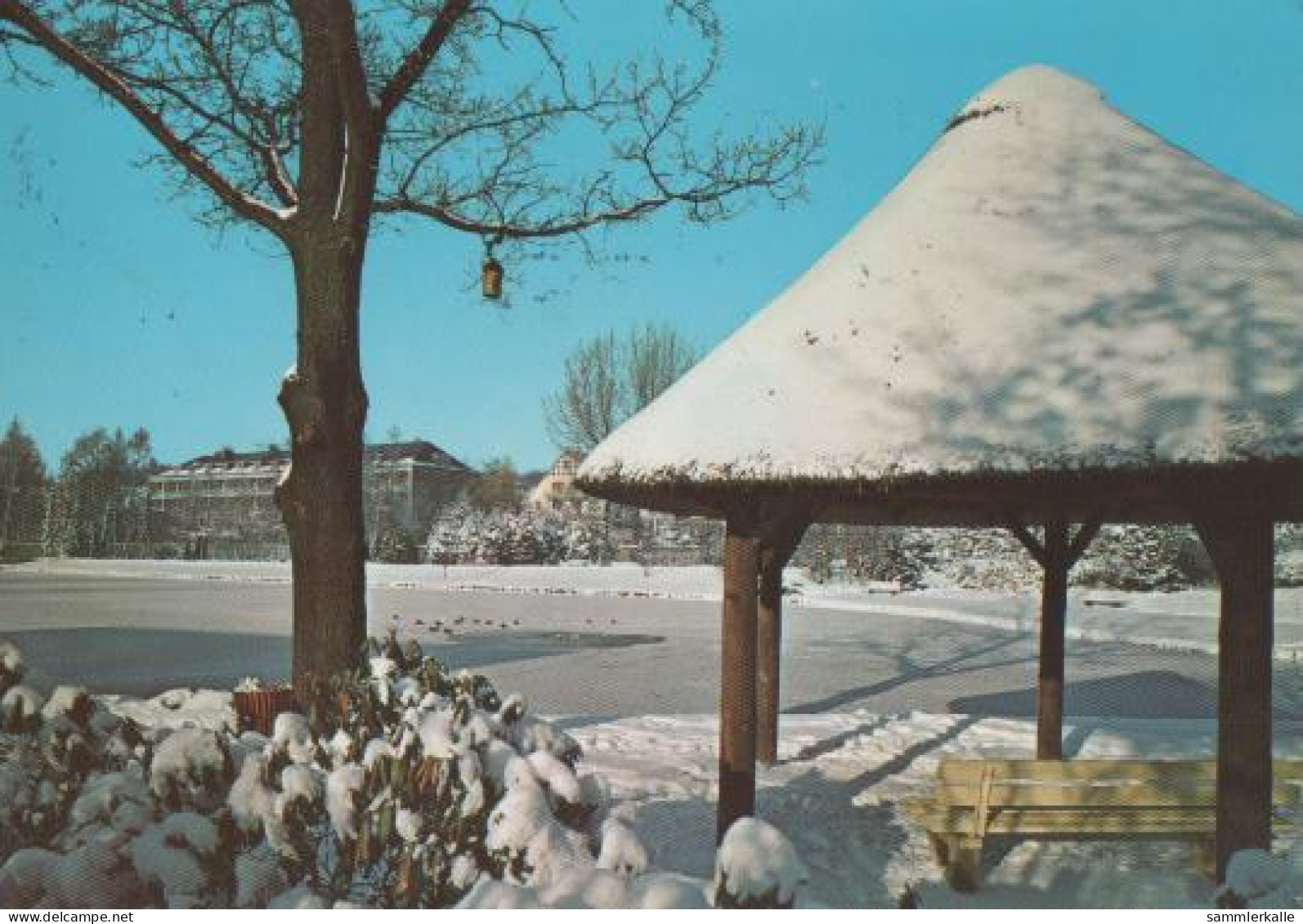 14903 - Horn-Bad Meinberg - Kurparksee Im Schnee - 1980 - Bad Meinberg