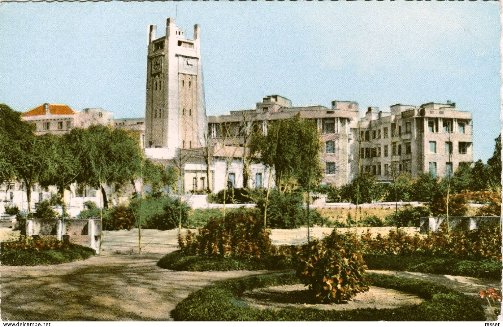 Algérie  - Mostaganem   : Place De L'Hôtel De Ville , Les Parterres Du Jardin Public - Mostaganem