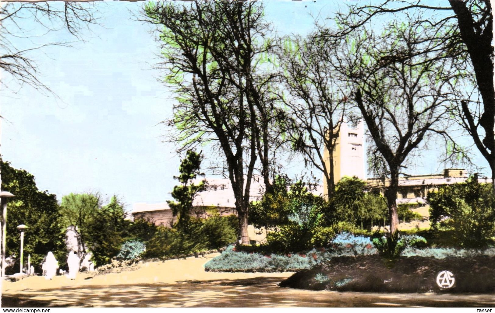 Algérie  - Mostaganem   : Place De L'Hôtel De Ville ,depuis Le Jardin Public - Mostaganem