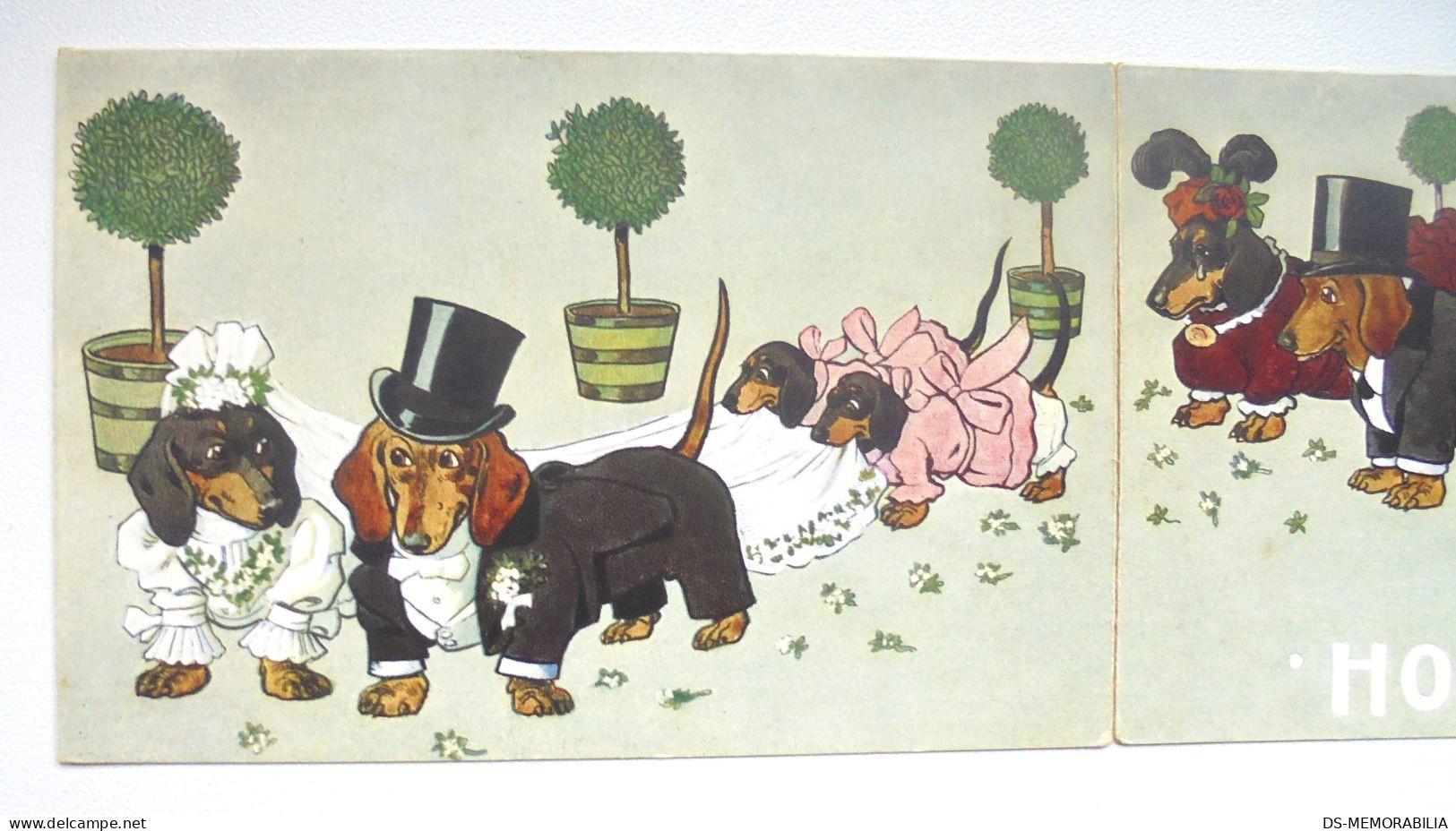 Dackel Teckel Bassotto Dachshund Dog Bride & Groom Wedding Three Parts Postcard Signed P.O.Engelhard - Engelhard, P.O. (P.O.E.)