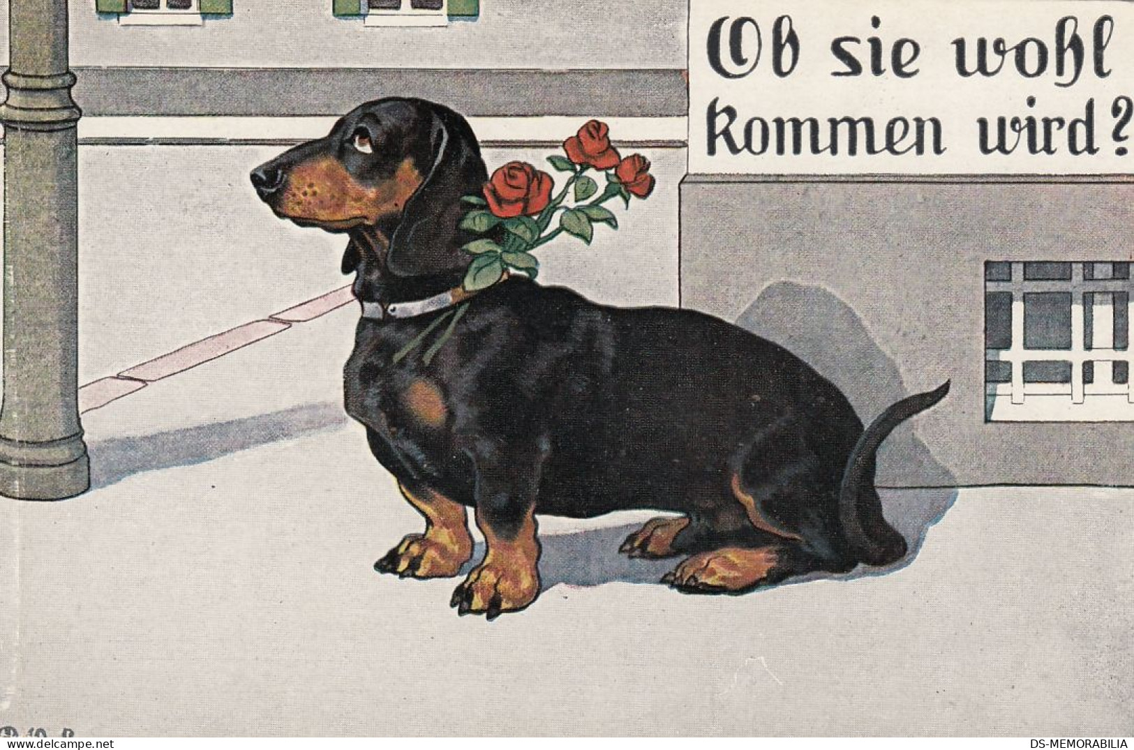 Dackel Teckel Bassotto Dachshund Dog W Roses Old Postcard Signed P.O.Engelhard - Engelhard, P.O. (P.O.E.)