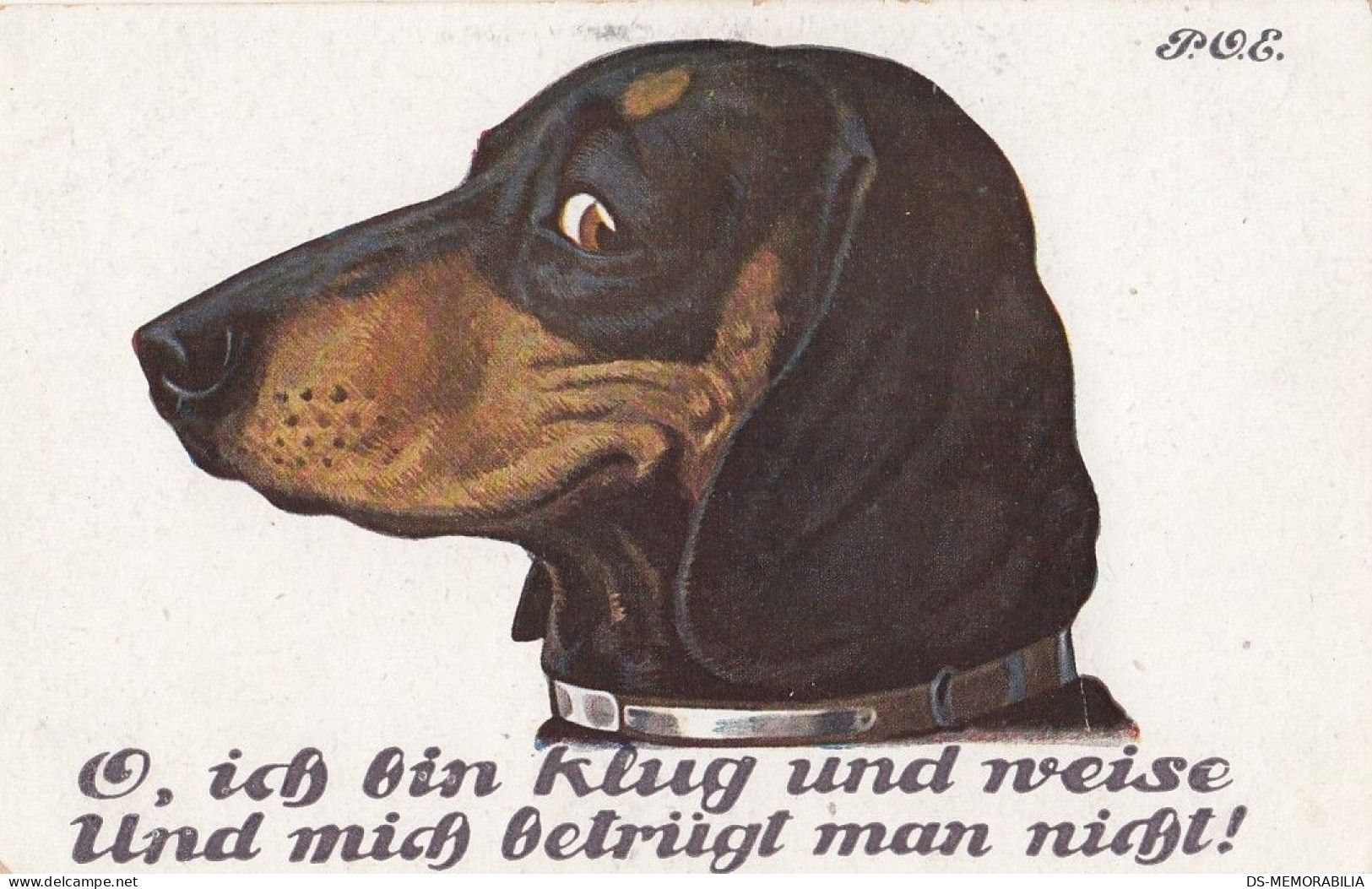 Dackel Teckel Bassotto Dachshund Dog Old Postcard Signed P.O.Engelhard - Engelhard, P.O. (P.O.E.)