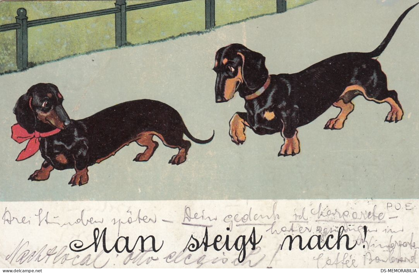 Dackel Teckel Bassotto Dachshund Dog Old Postcard Signed P.O.Engelhard 1911 - Engelhard, P.O. (P.O.E.)