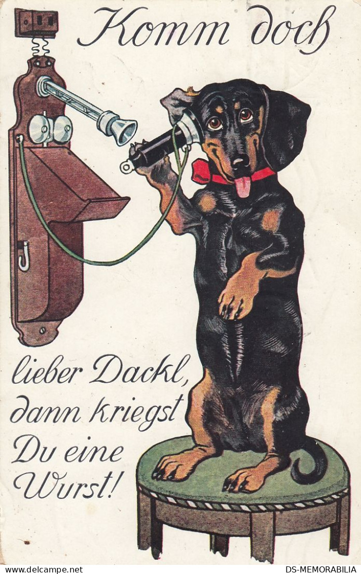 Dackel Teckel Bassotto Dachshund Dog On Telephone Old Postcard Signed P.O.Engelhard - Engelhard, P.O. (P.O.E.)