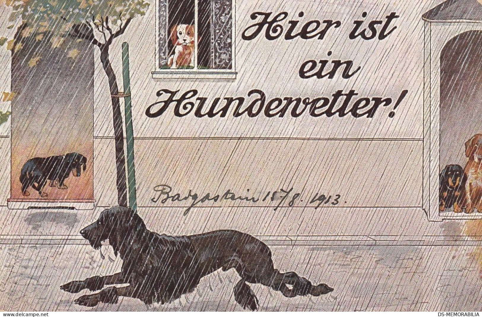 Dackel Teckel Bassotto Dachshund Dog & Poodle At Rainy Day Old Postcard Signed P.O.Engelhard 1913 - Engelhard, P.O. (P.O.E.)