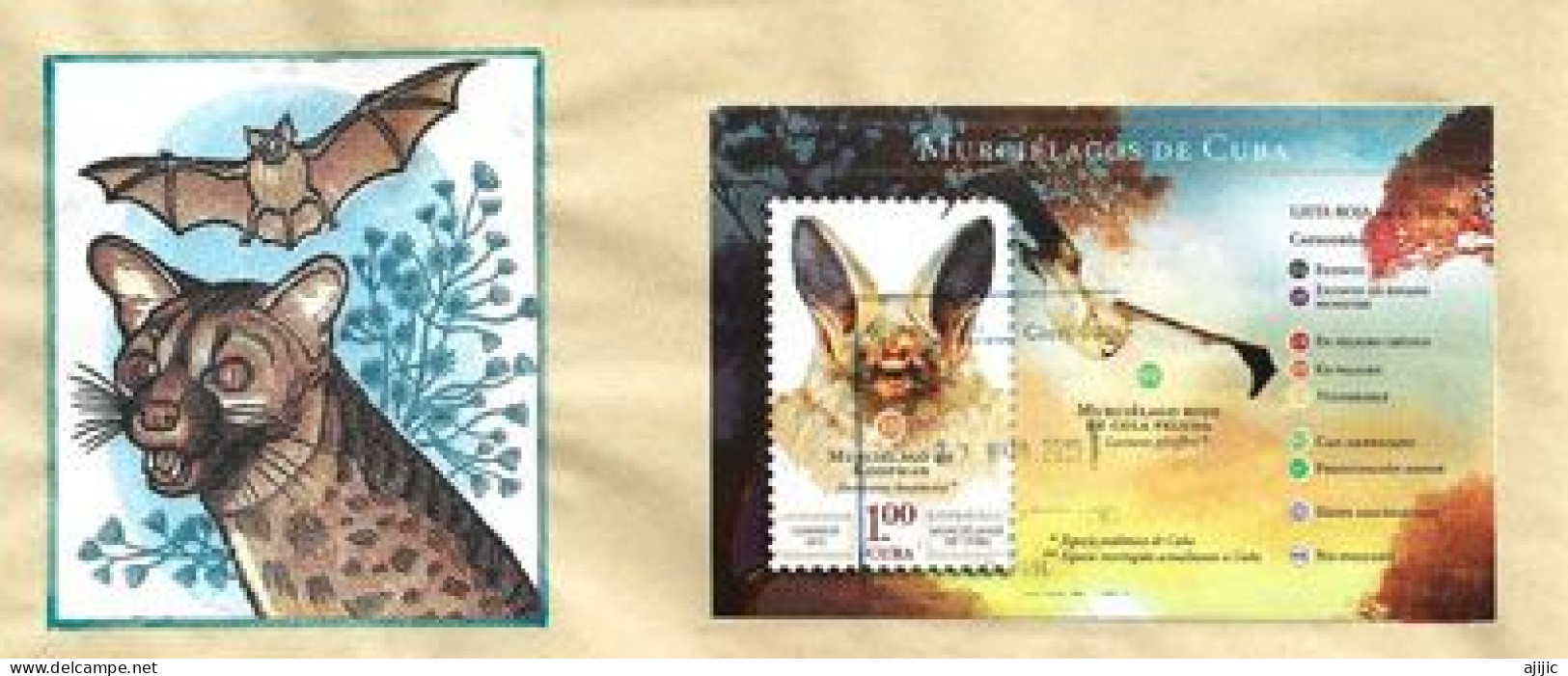 The Cuban Pallid Bat Antrozous Koopmani (Fossil),  Moniature Sheet On Letter From Cienfuegos (Cuba) - Fossielen