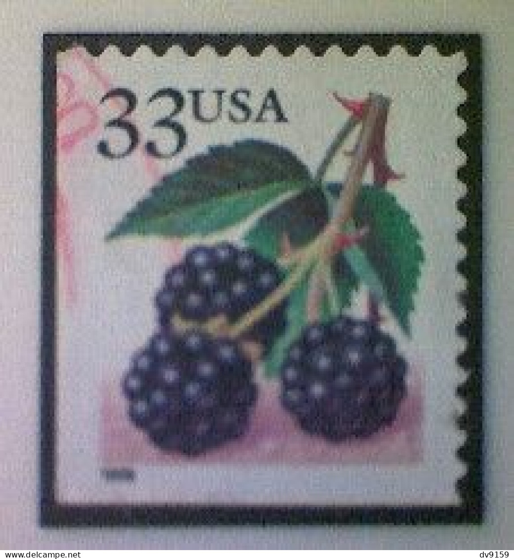 United States, Scott #3297, Used(o), 1999 Definitive Booklet Stamp, Blackberries,33¢ - Usati