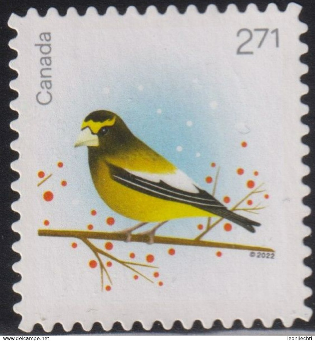 2022 Kanada ° Mi:CA 3976, Yt:CA 3862, Sg:CA 3650, Col:CA 2022.11.01-03,Evening Grosbeak (Coccothraustes Vespertinus) - Usati