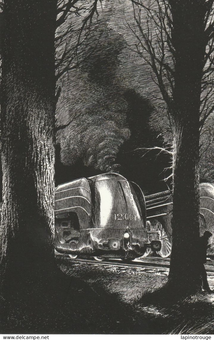 Carte Postale SCHUITEN François La Type 12 (12 La Douce Train) - Postkaarten