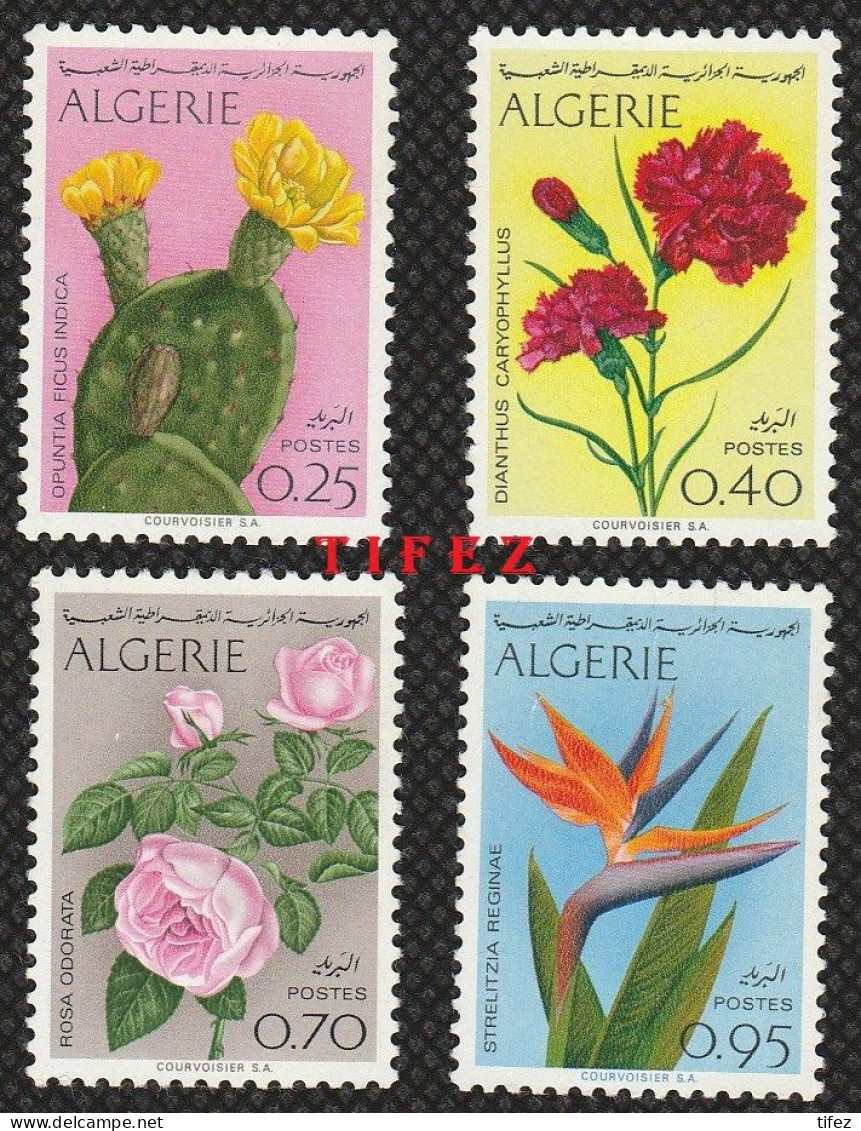 Année 1969-N°484/487 Neufs**MNH : Fleurs : Strelitzia- Opunta Ficus- Rosa Odorata- Oeillet - Algérie (1962-...)