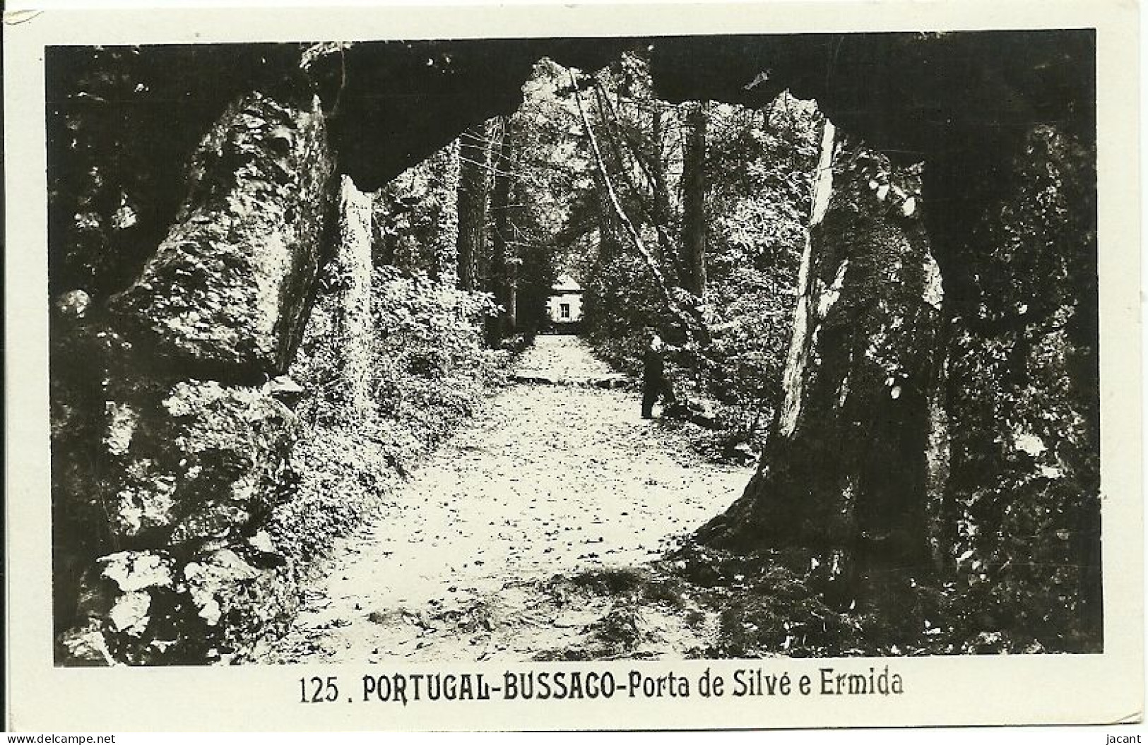Portugal - Bussaco - Porta De Silve E Ermida - Aveiro