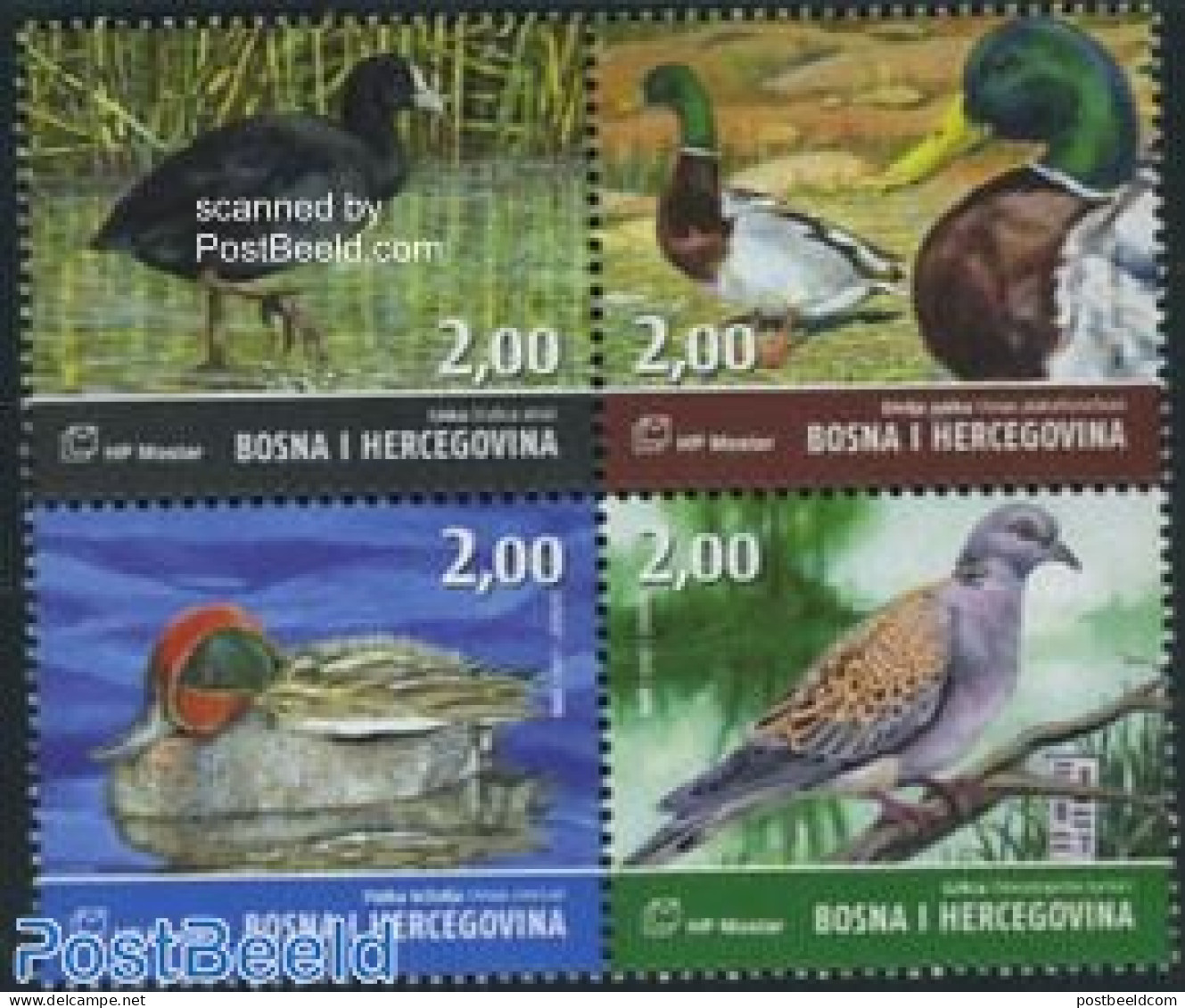 Bosnia Herzegovina - Croatic Adm. 2007 Birds 4v [+] Or [:::], Mint NH, Nature - Animals (others & Mixed) - Birds - Ducks - Bosnia Herzegovina