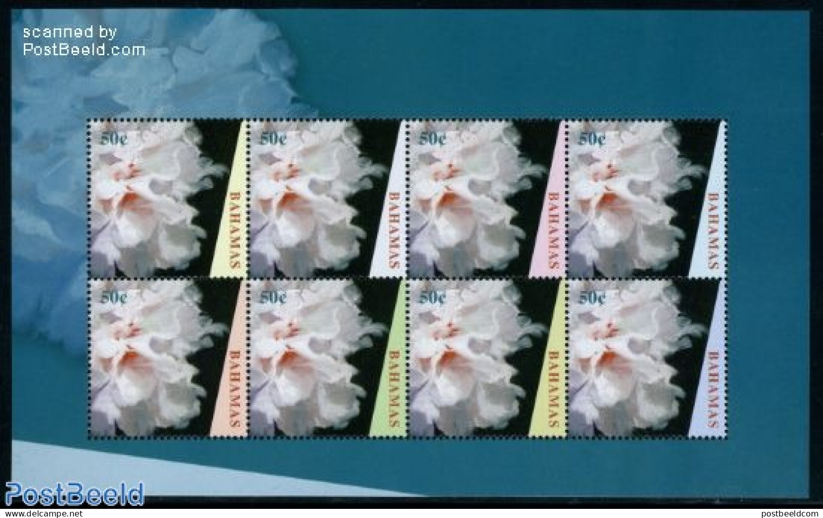 Bahamas 2009 Flowers 8v M/s, Mint NH, Nature - Flowers & Plants - Other & Unclassified