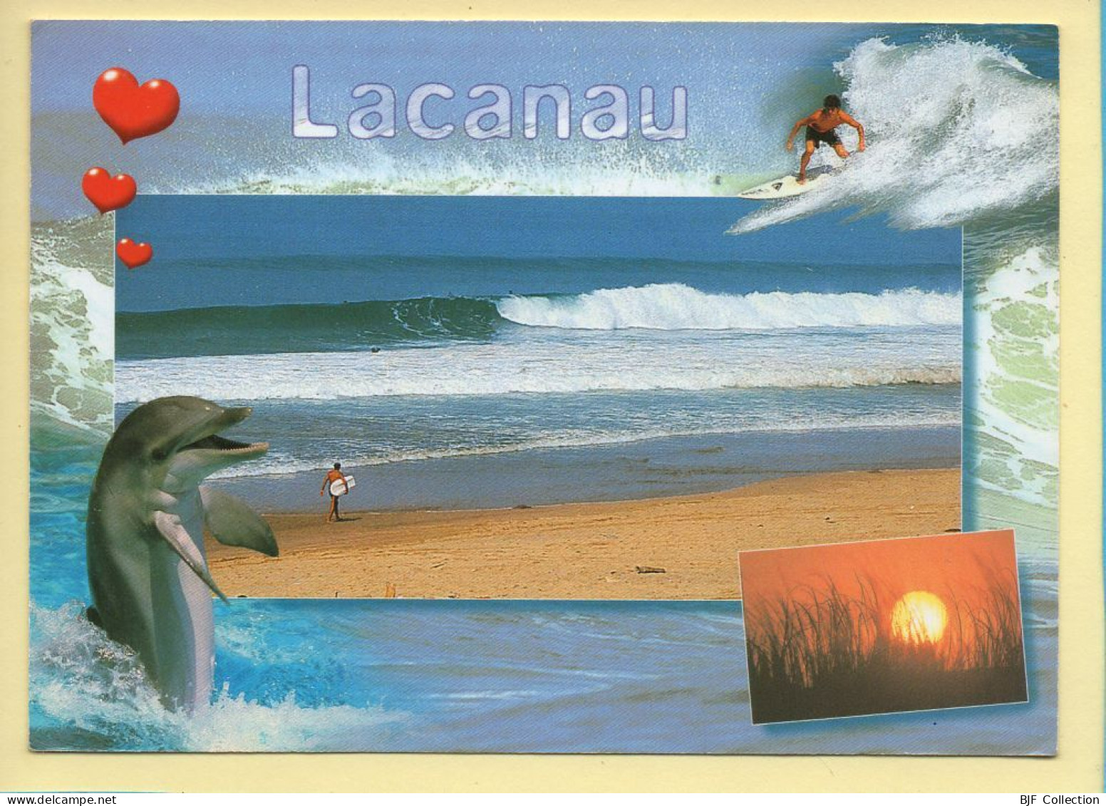 Animaux : Dauphin / Lacanau / Cœur / Surf (voir Scan Recto/verso) - Dolfijnen