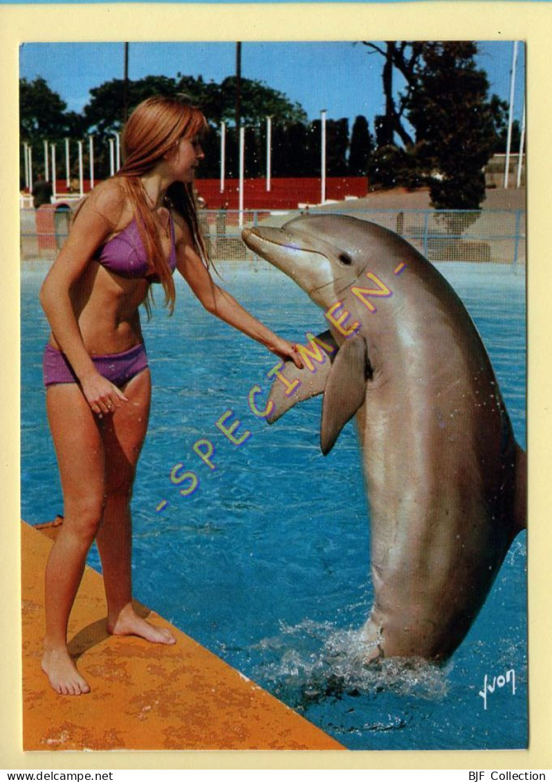 Animaux : Dauphins / Les Dauphins Du Marineland (voir Scan Recto/verso) - Delfines